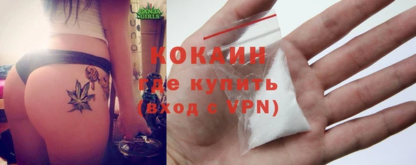 крисы Осинники