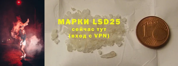 ПСИЛОЦИБИНОВЫЕ ГРИБЫ Абаза