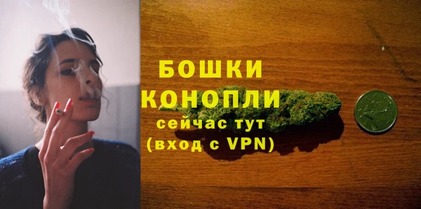 крисы Осинники